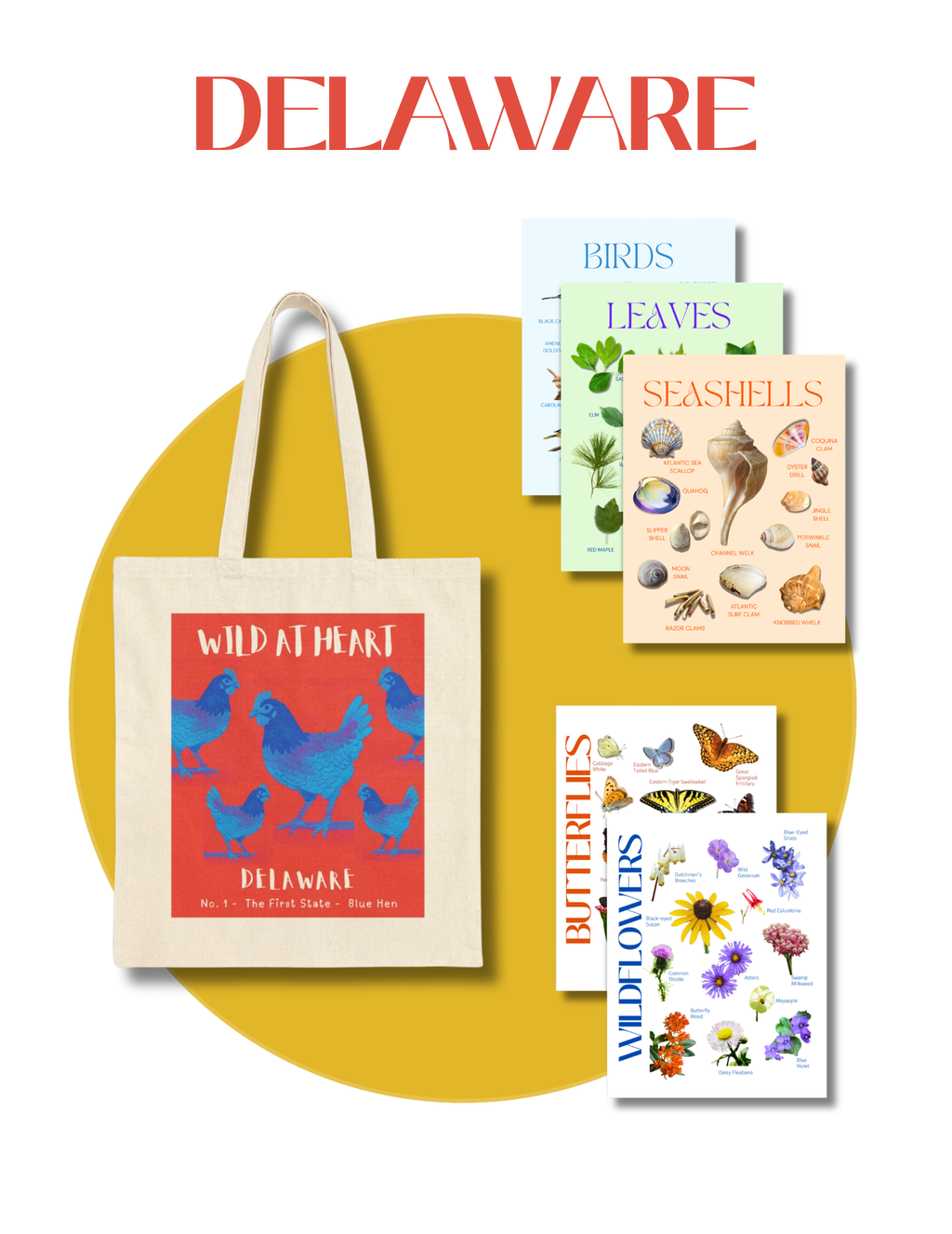 Delaware Nature Gift Set for Kids Ages 7-12 – 5 Activity Books + Canvas Tote (Birds, Butterflies, Wildflowers, Leaves & Seashells)