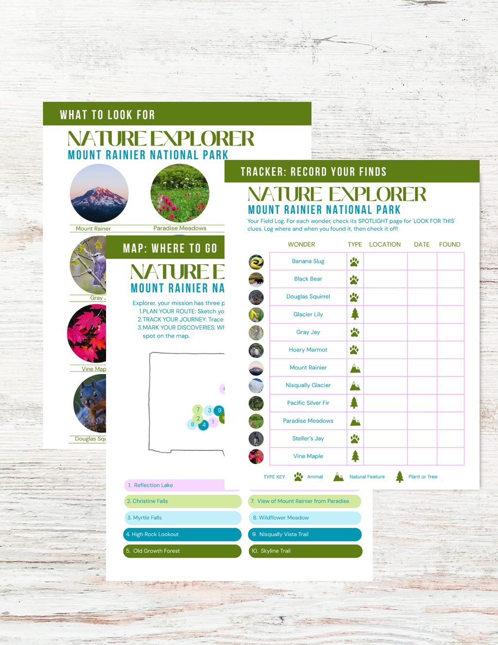 Mount Rainier National Park Activity Book for Kids