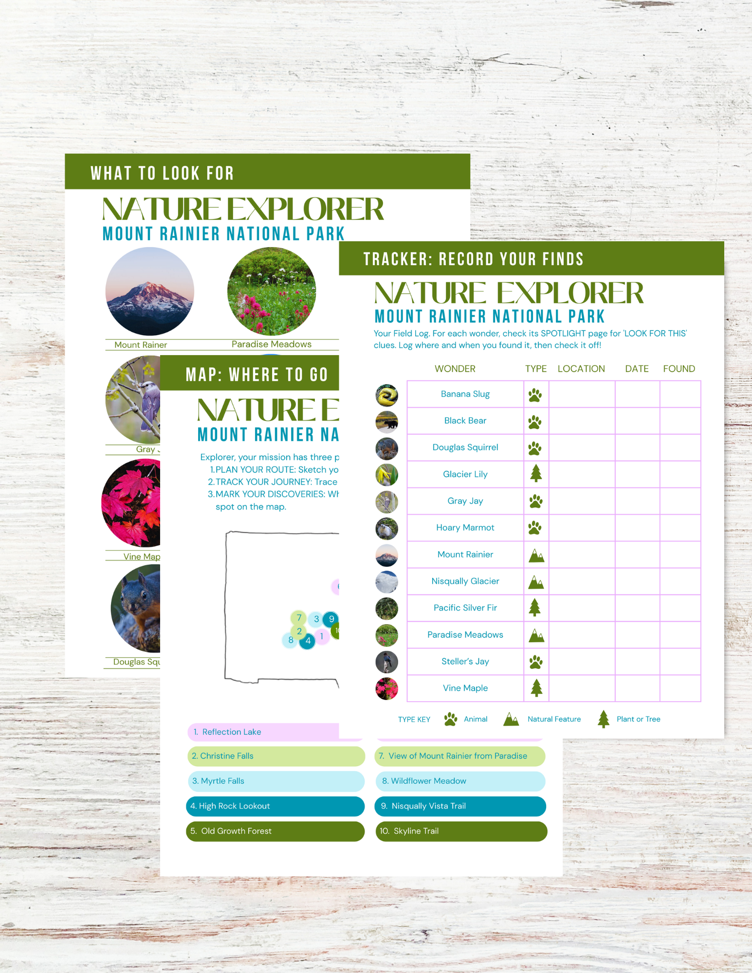 Mount Rainier National Park Activity Book for Kids