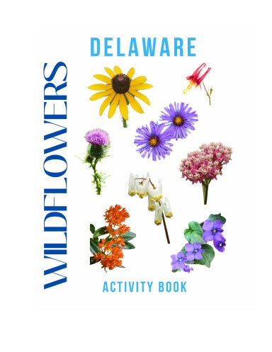 Wildflowers of Delaware Activity Book for Kids