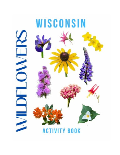 Wildflowers of Wisconsin Activity Book for Kids