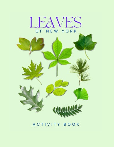 Leaves of New York Activity Book for Kids