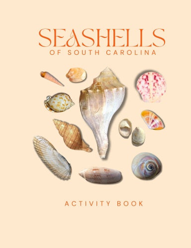 Seashells of South Carolina Activity Book for Kids