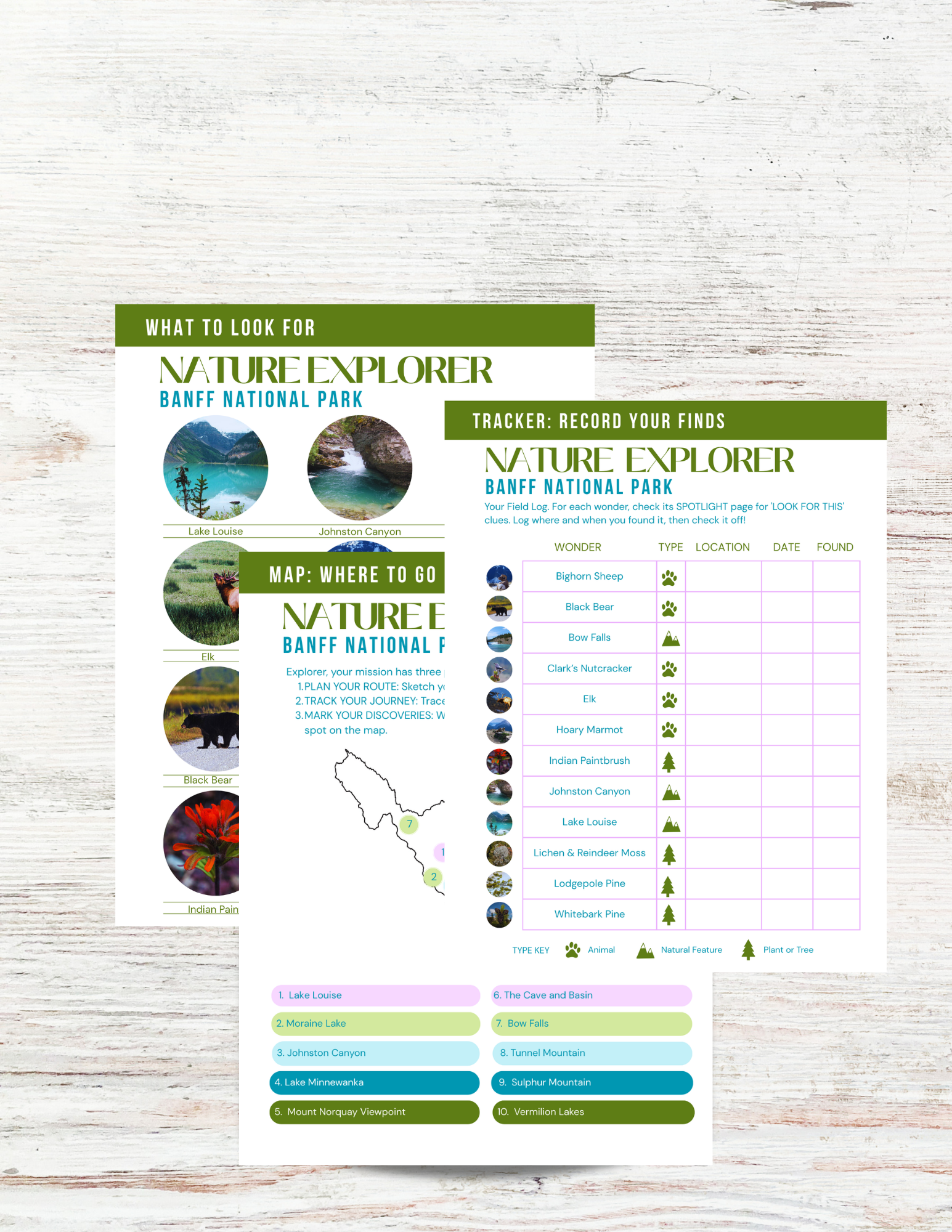 Banff National Park Activity Book for Kids