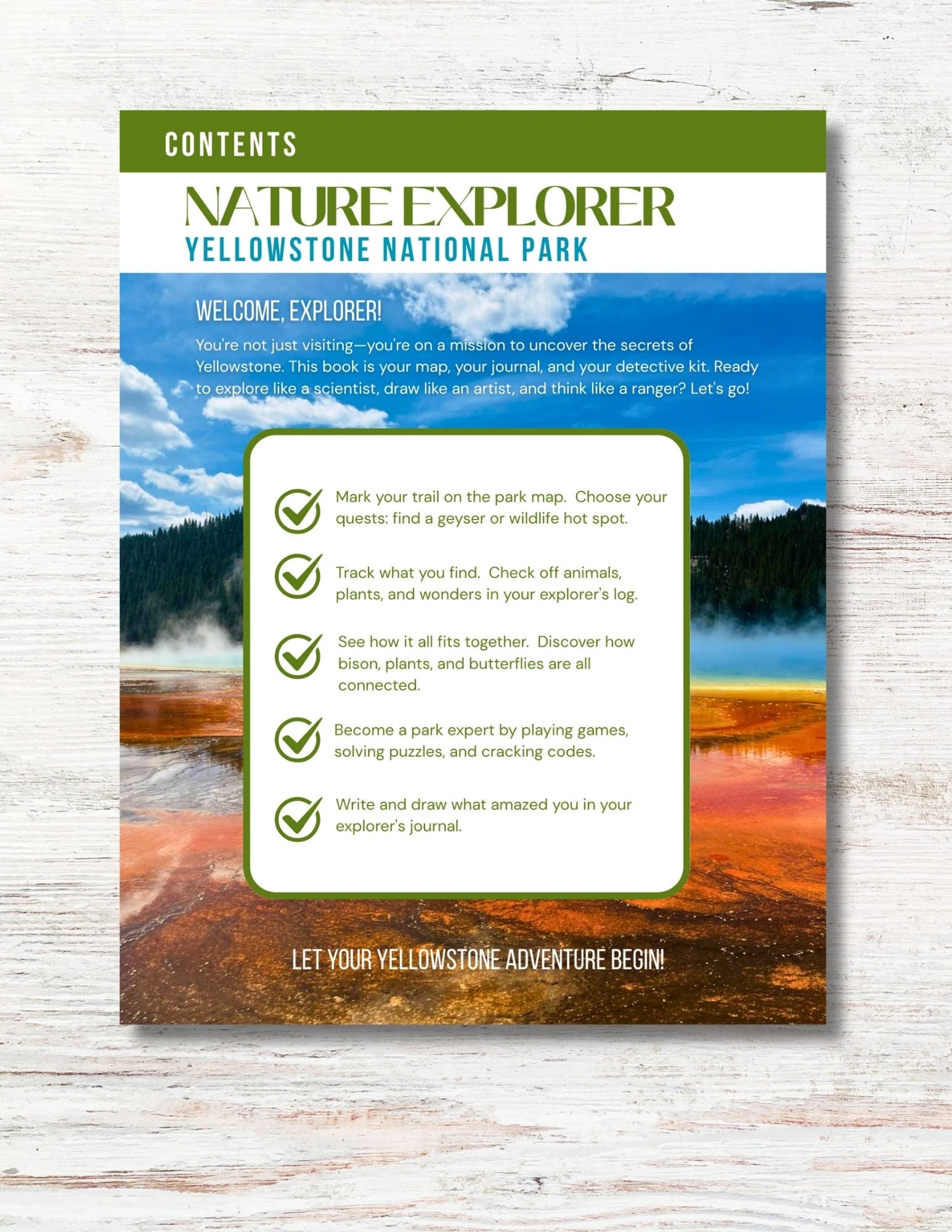 Yellowstone National Park Activity Book for Kids