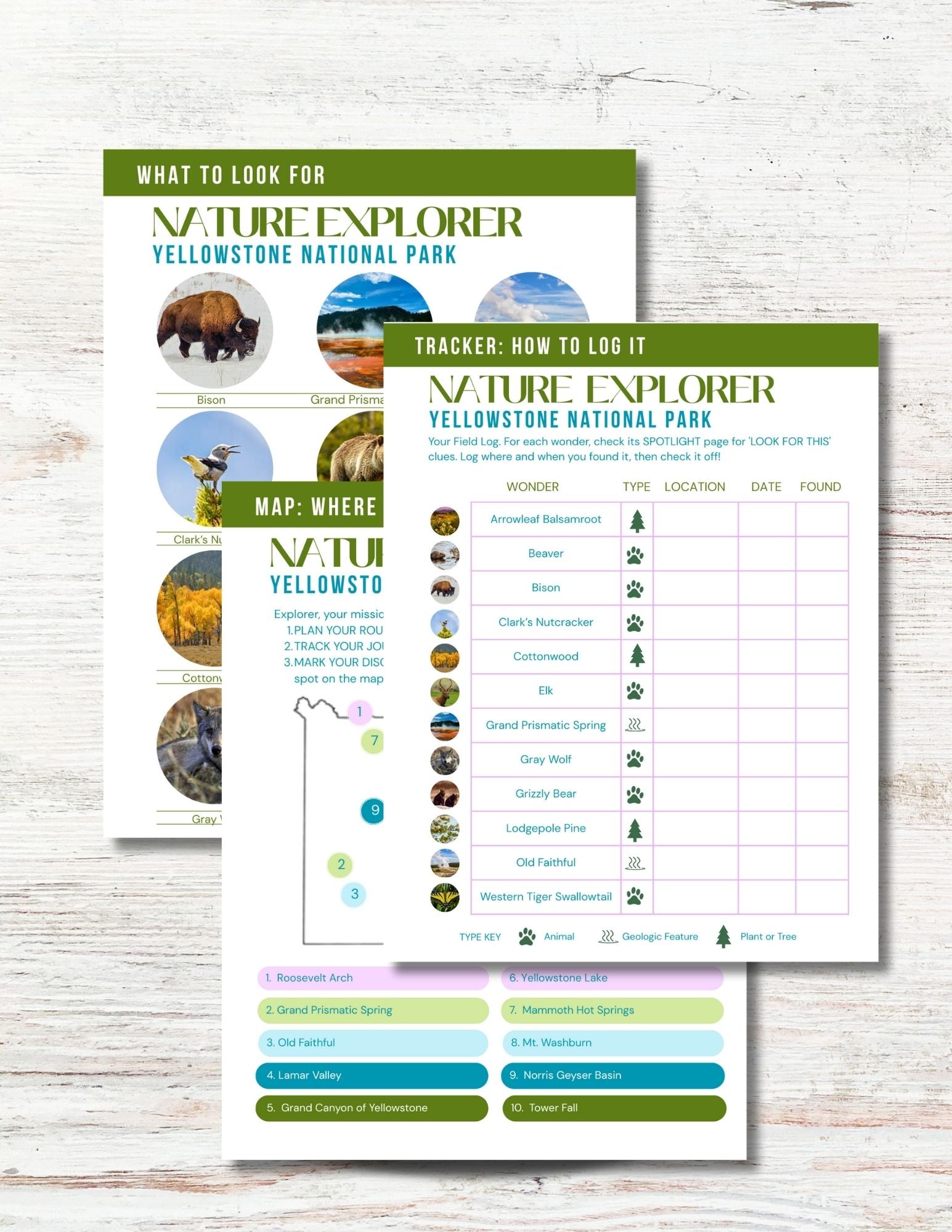Yellowstone National Park Activity Book for Kids