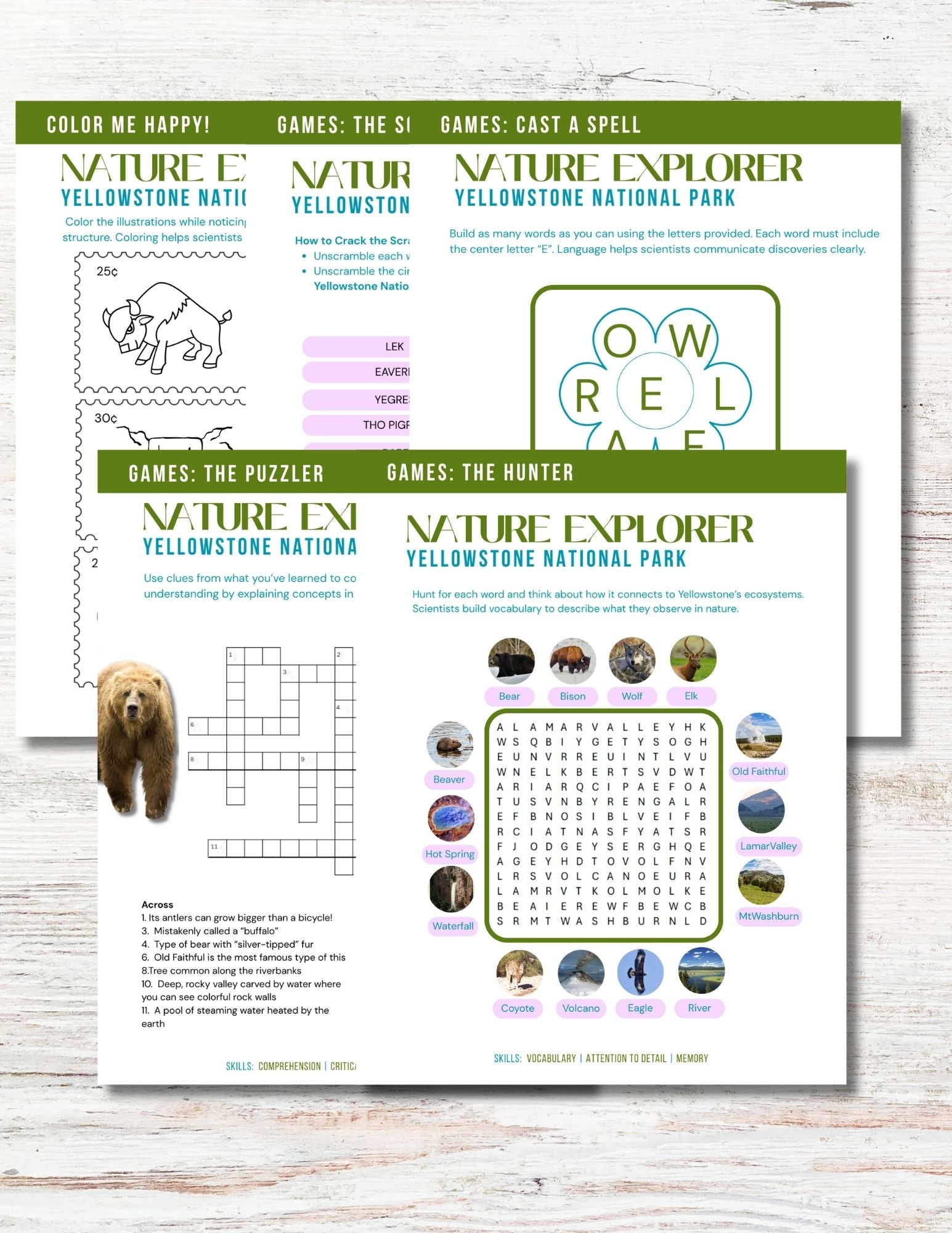 Yellowstone National Park Activity Book for Kids