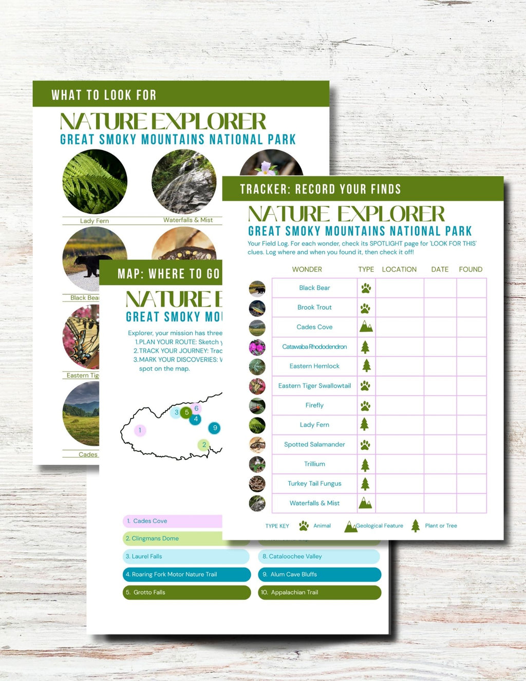 Great Smoky Mountains Activity Book for Kids