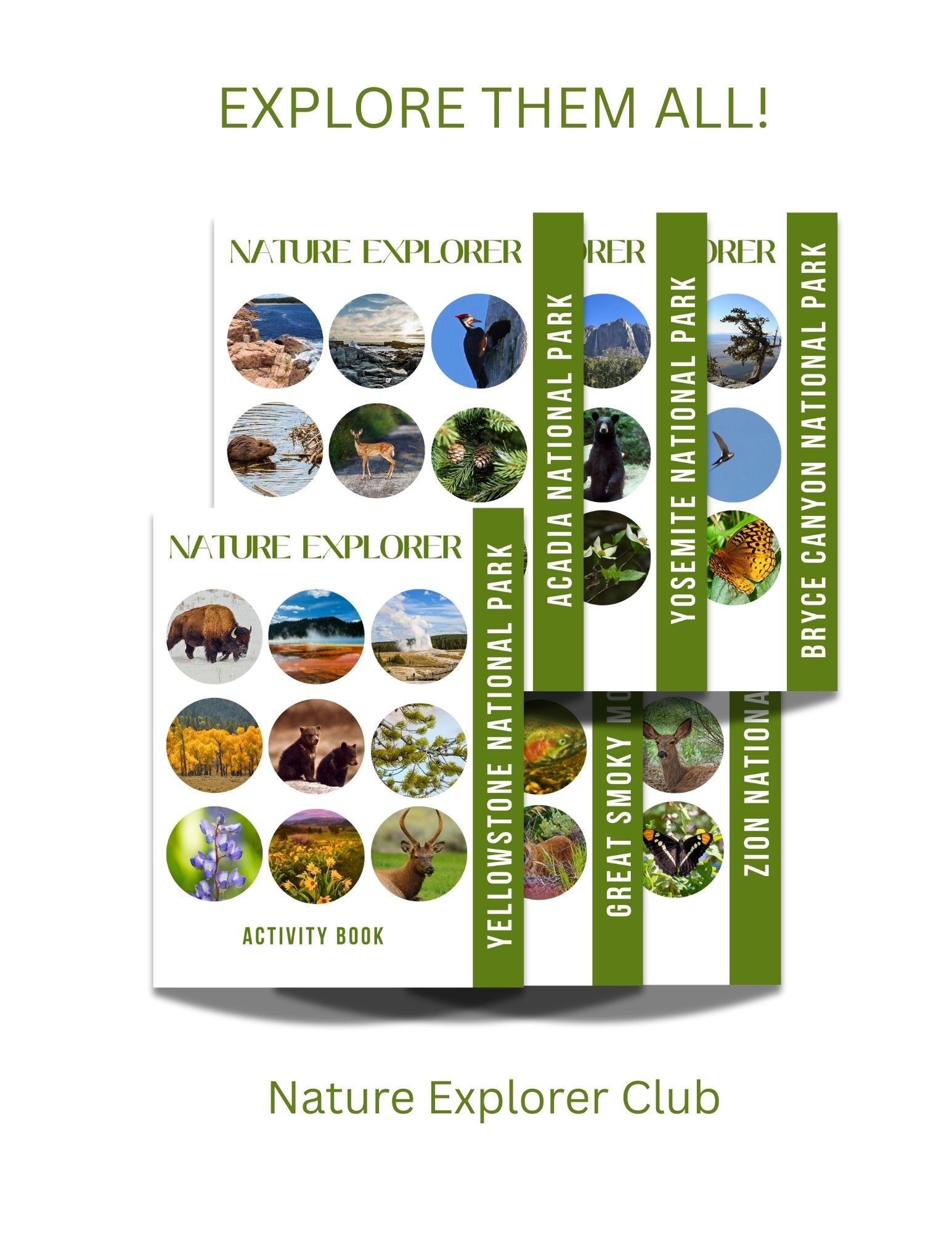 Great Smoky Mountains Activity Book for Kids