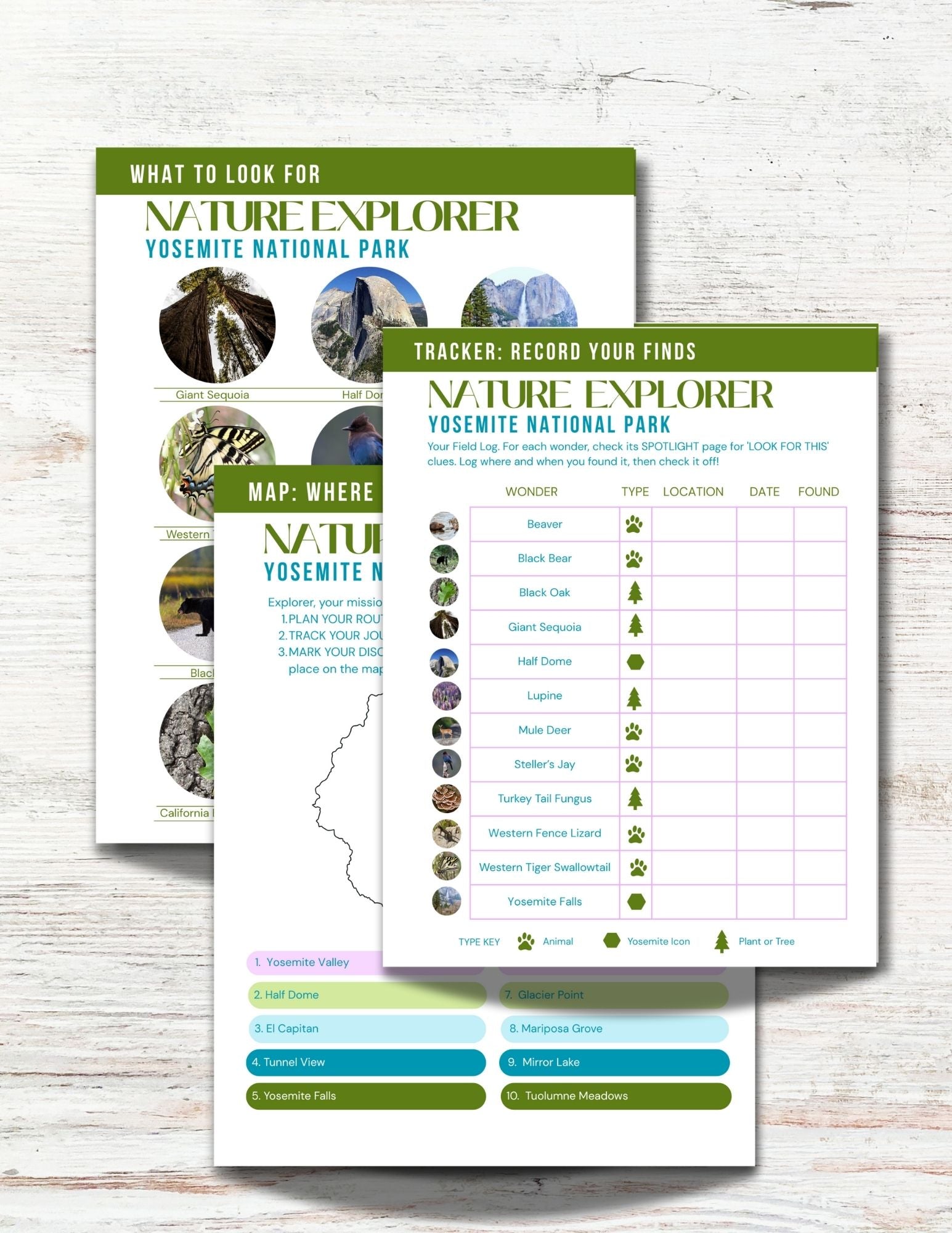 Yosemite National Park Activity Book for Kids