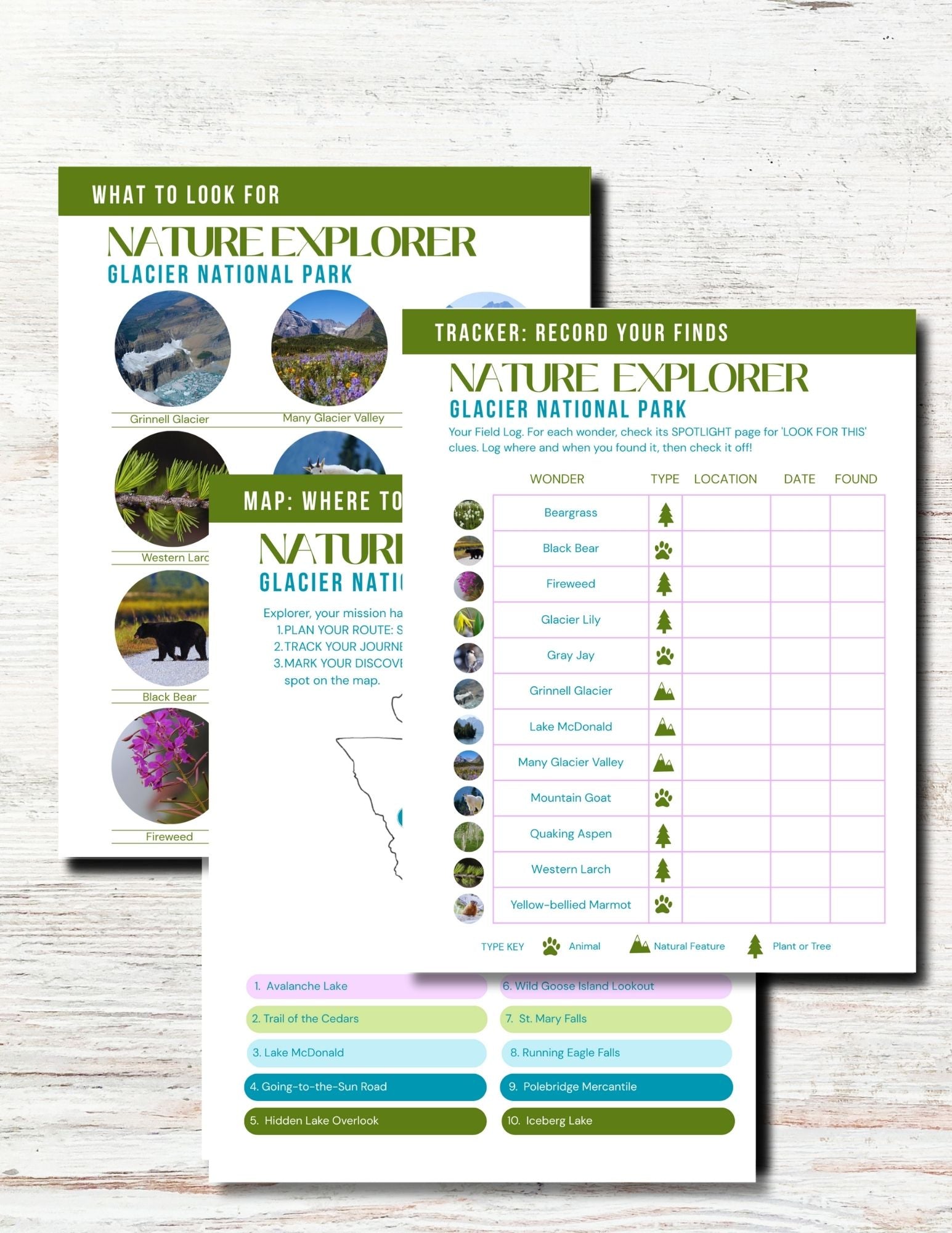 Glacier National Park Activity Book for Kids