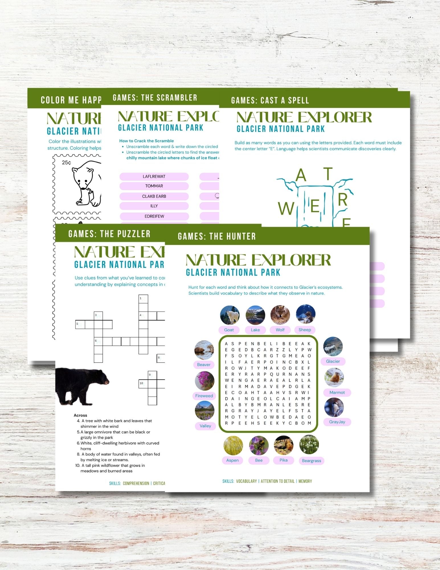 Glacier National Park Activity Book for Kids