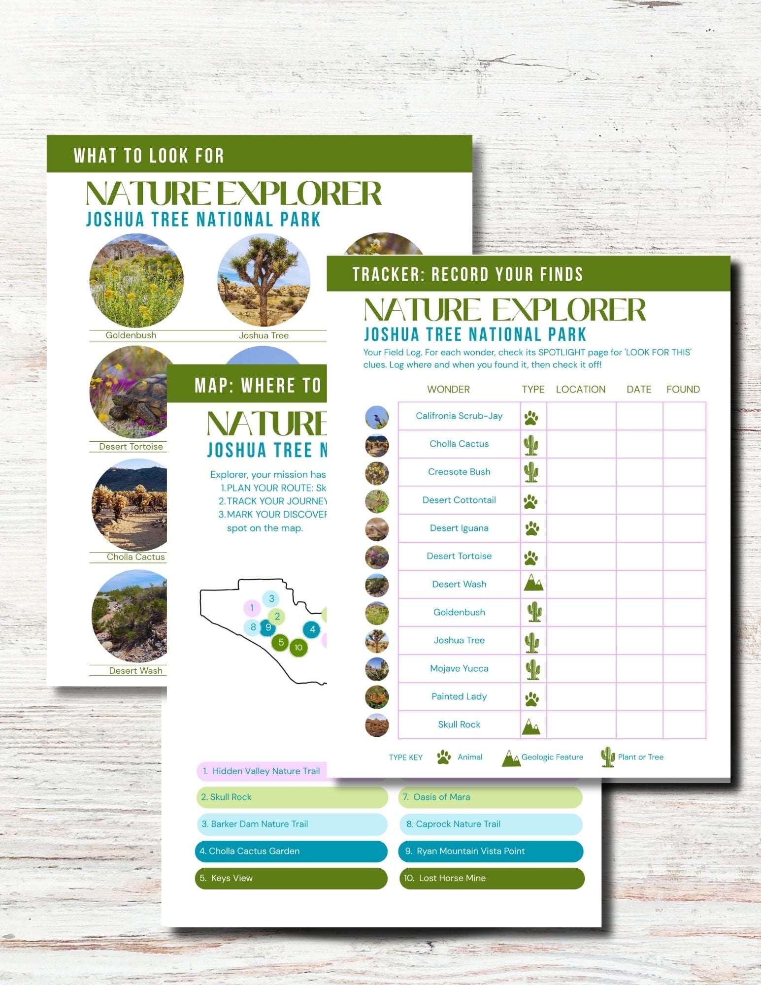 Joshua Tree National Park Activity Book for Kids