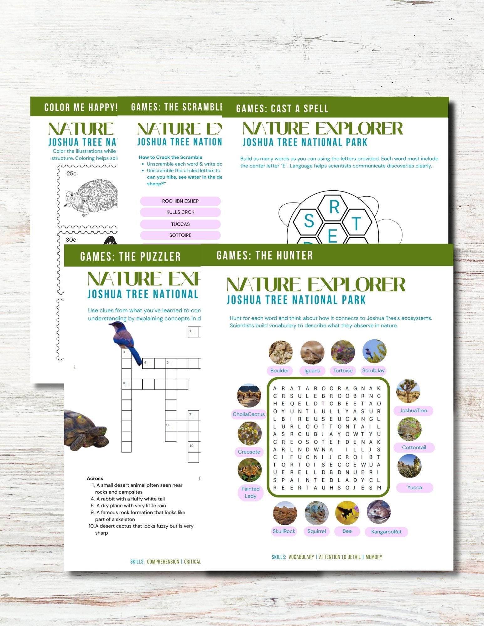 Joshua Tree National Park Activity Book for Kids