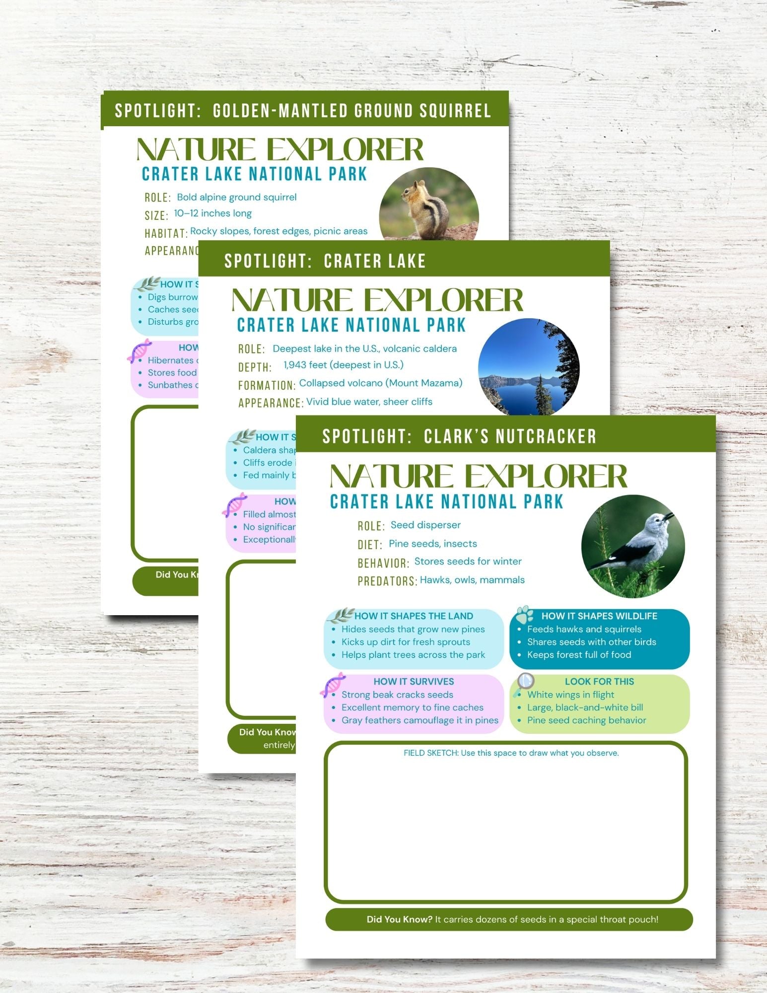Crater Lake National Park Activity Book for Kids