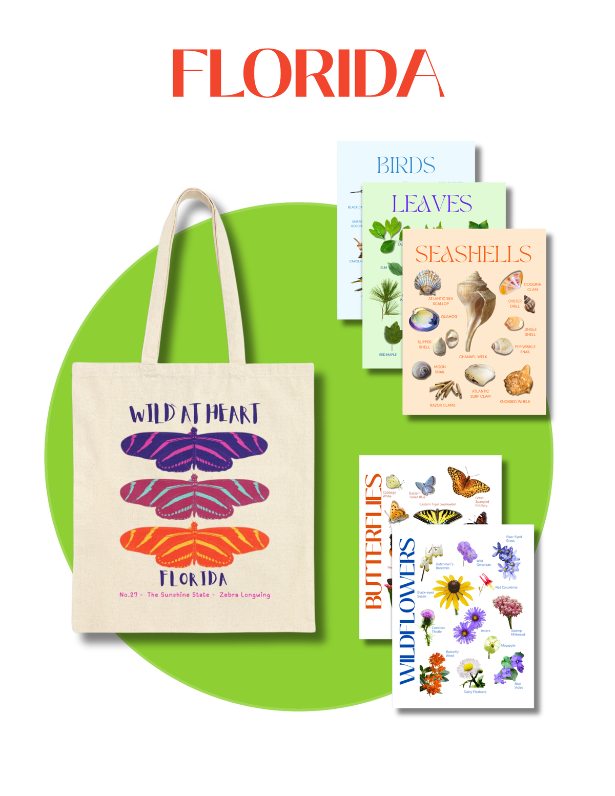 Florida Nature Gift Set for Kids Ages 7-12 – 5 Activity Books + Canvas Tote (Birds, Butterflies, Wildflowers, Leaves & Seashells)