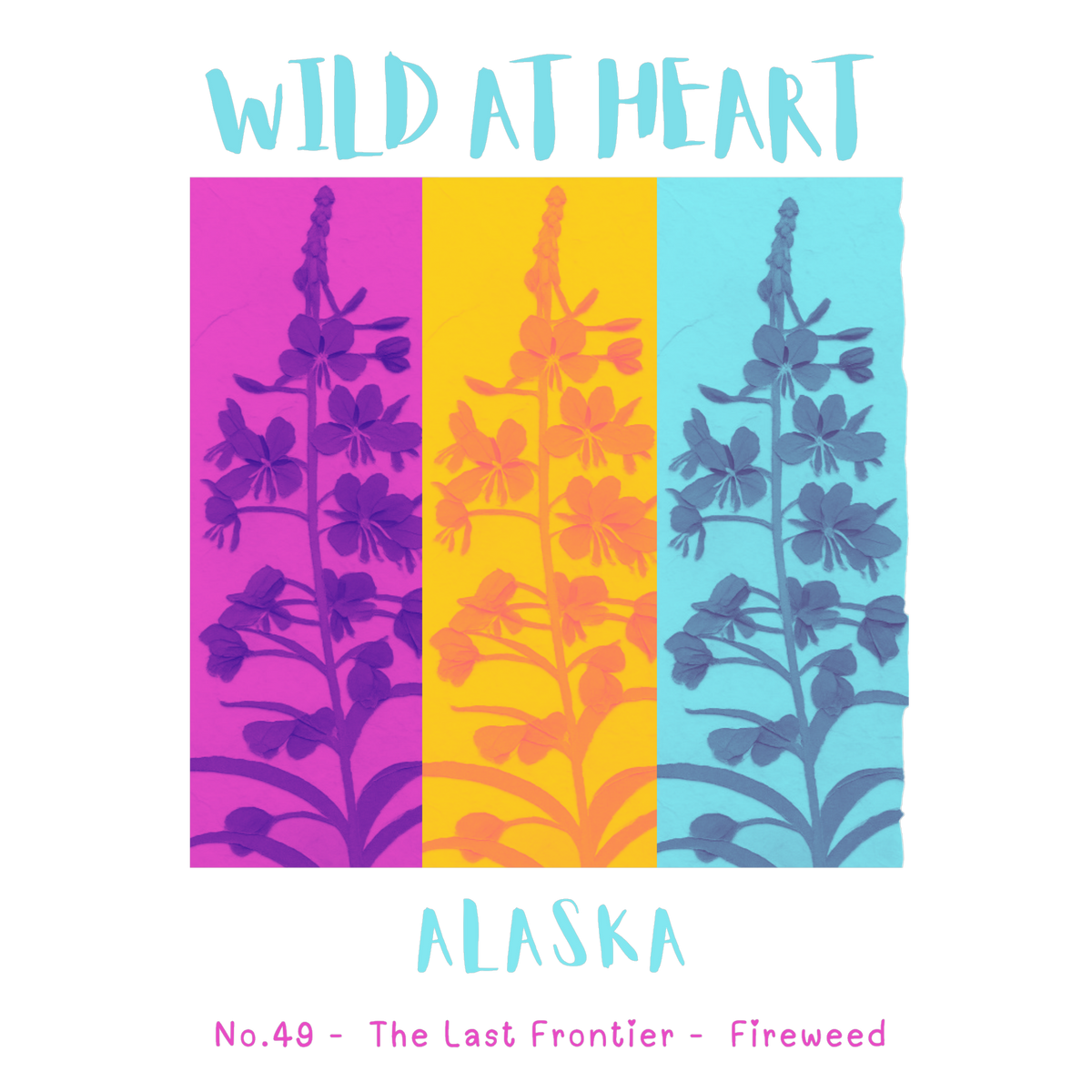 Alaska Nature Explorer Gift Set – Activity Books + Wild at Heart Tote