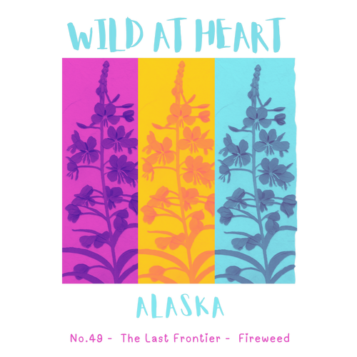 Alaska Nature Explorer Gift Set – Activity Books + Wild at Heart Tote