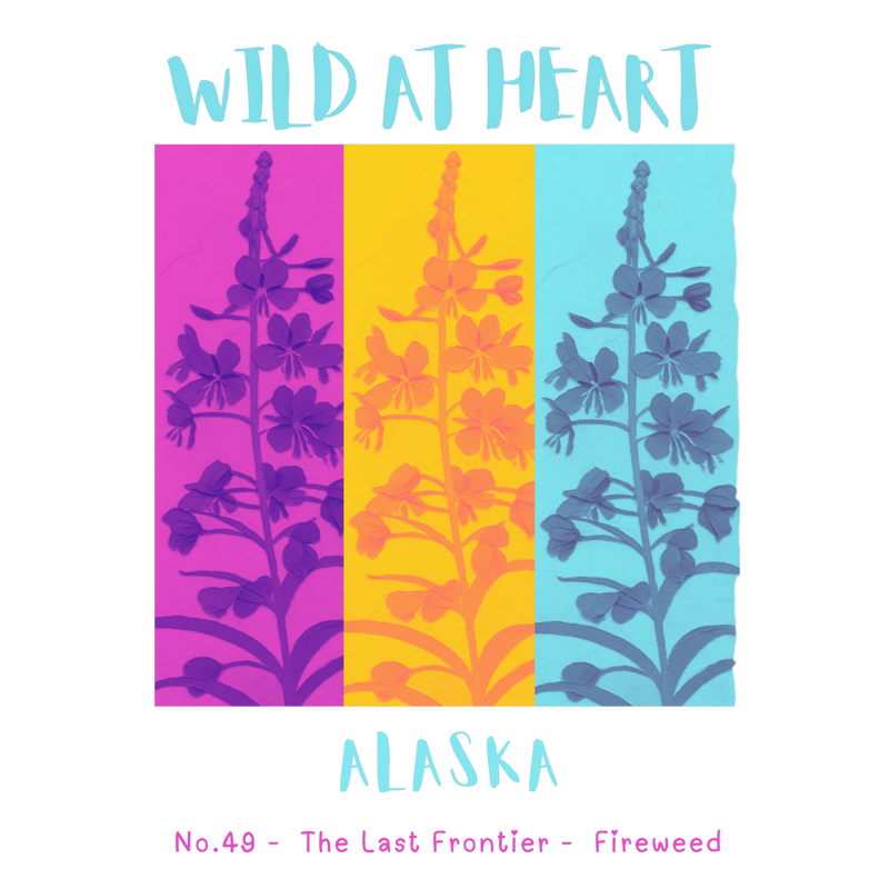 Alaska Nature Explorer Gift Set – Activity Books + Wild at Heart Tote
