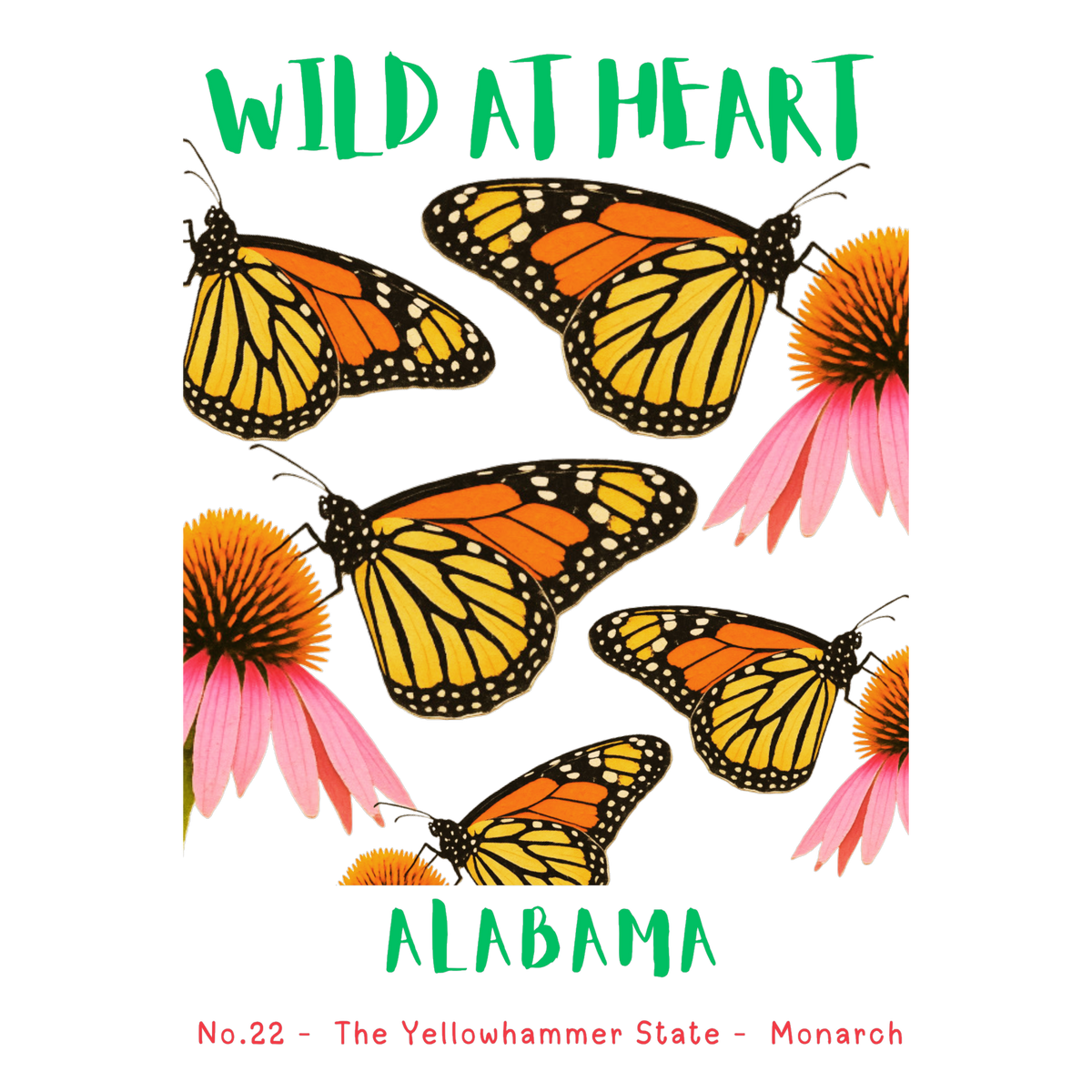 Alabama Nature Explorer Gift Set – Activity Books + Wild at Heart Tote