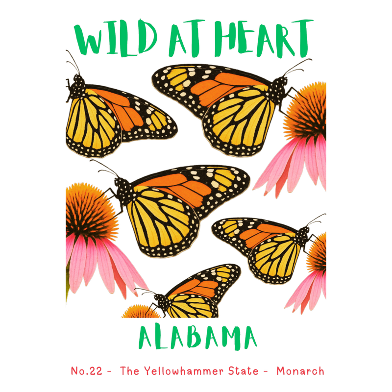 Alabama Nature Explorer Gift Set – Activity Books + Wild at Heart Tote