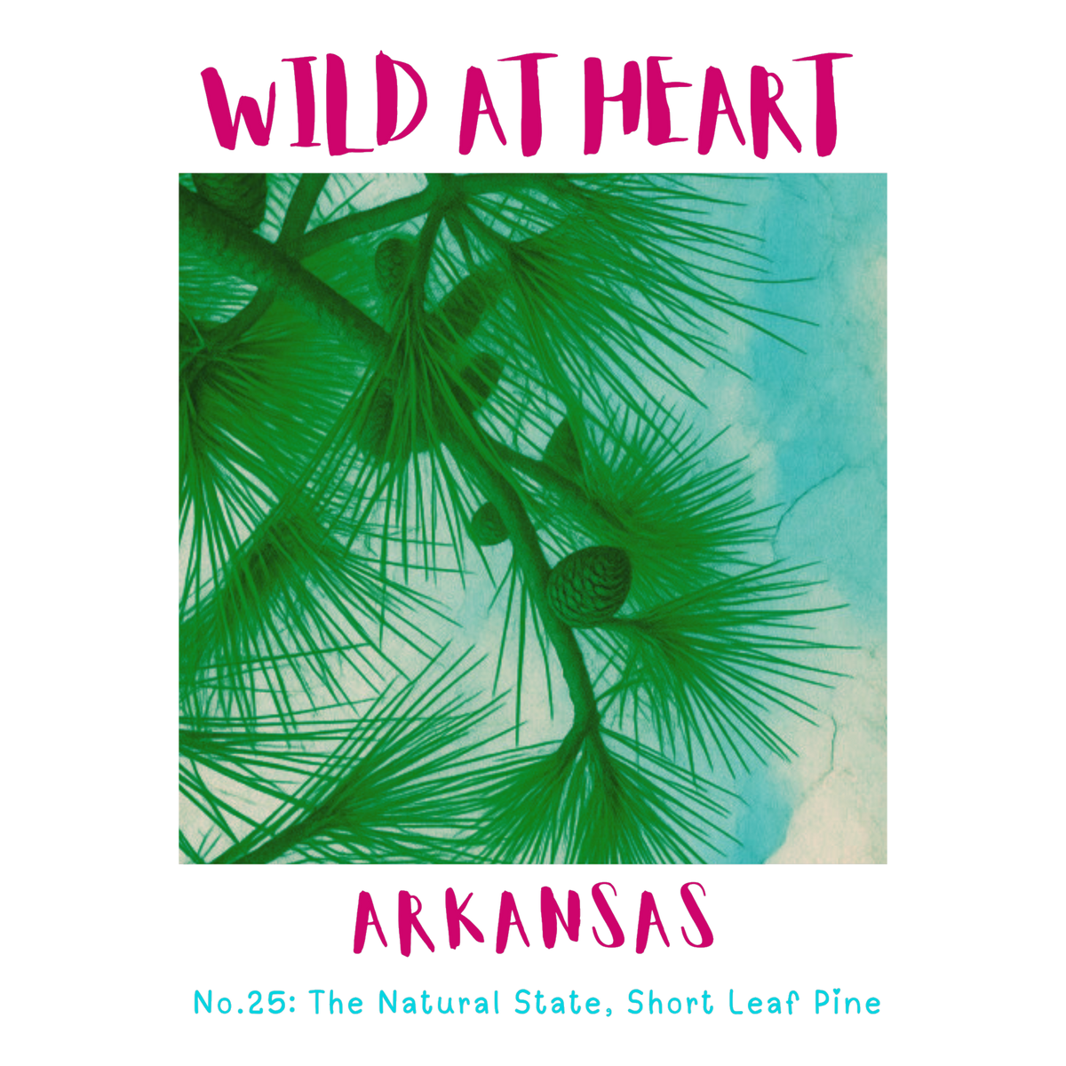 Arkansas Nature Explorer Gift Set – 4 Activity Books + Wild at Heart Tote