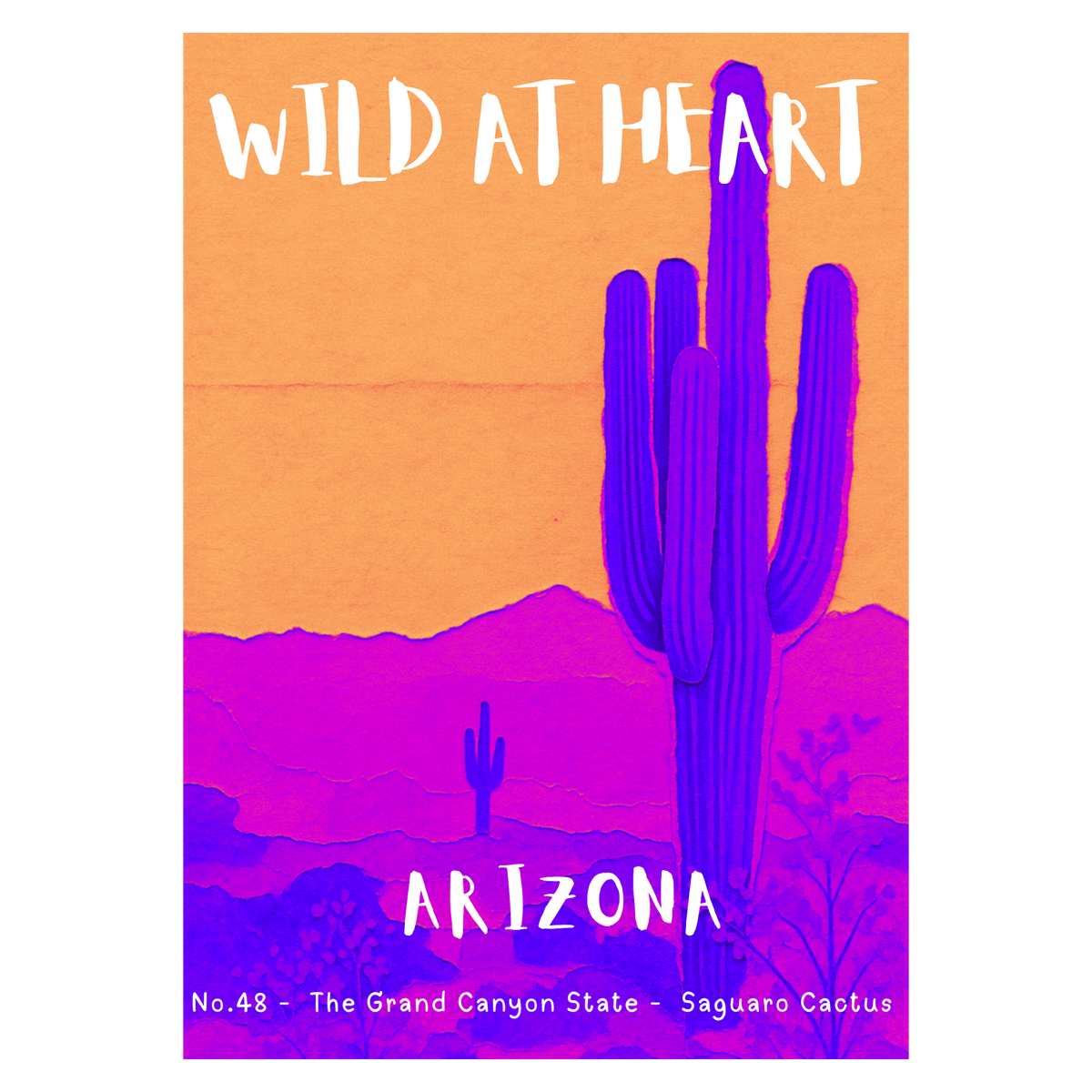 Arizona Nature Explorer Gift Set – Activity Books + Wild at Heart Tote