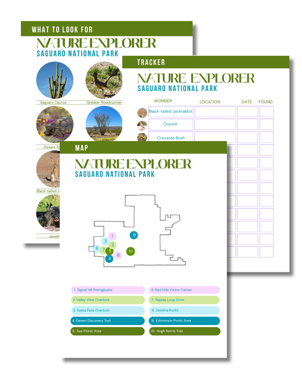 Saguaro National Park Activity Book for Kids