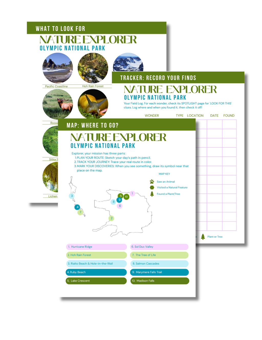 Olympic National Park Activity Book for Kids