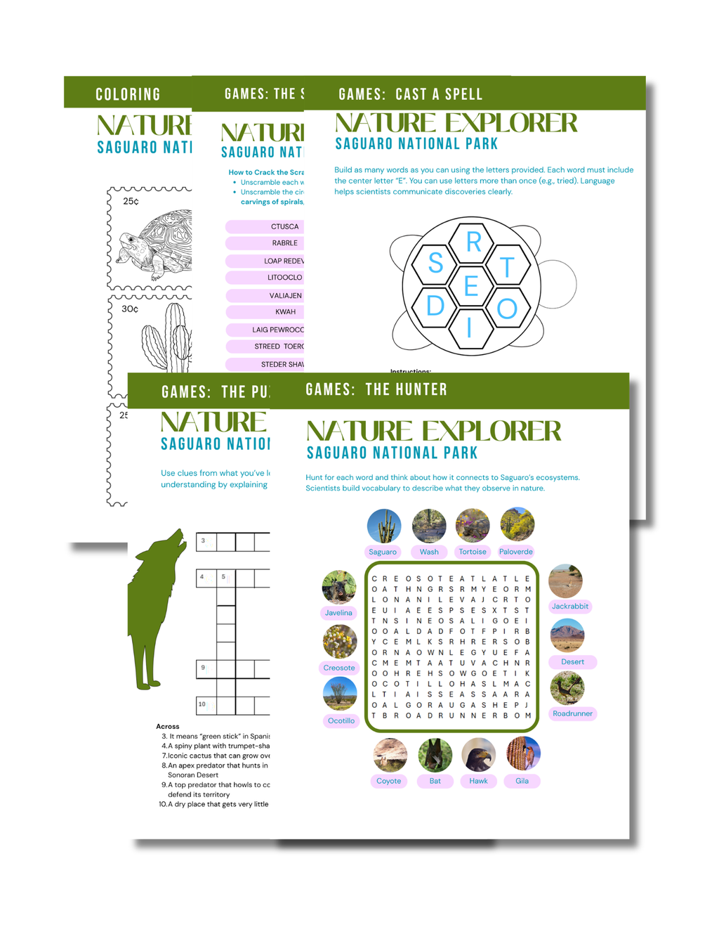 Saguaro National Park Activity Book for Kids