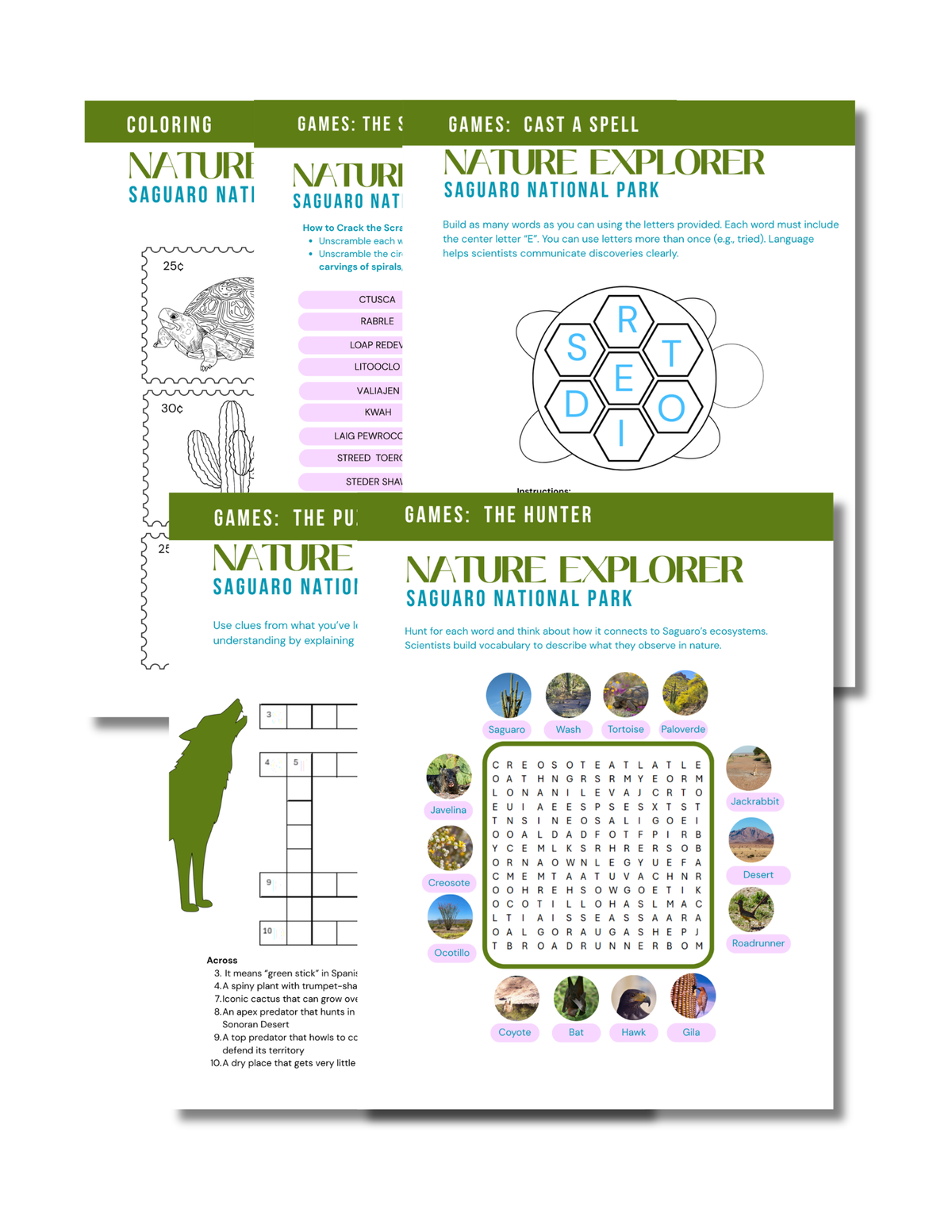 Saguaro National Park Activity Book for Kids