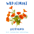 California Nature Explorer Gift Set – Activity Books + Wild at Heart Tote