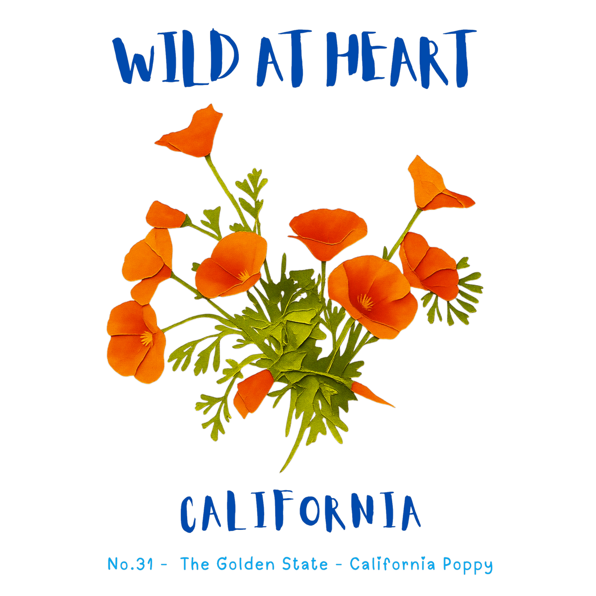 California Nature Explorer Gift Set – Activity Books + Wild at Heart Tote