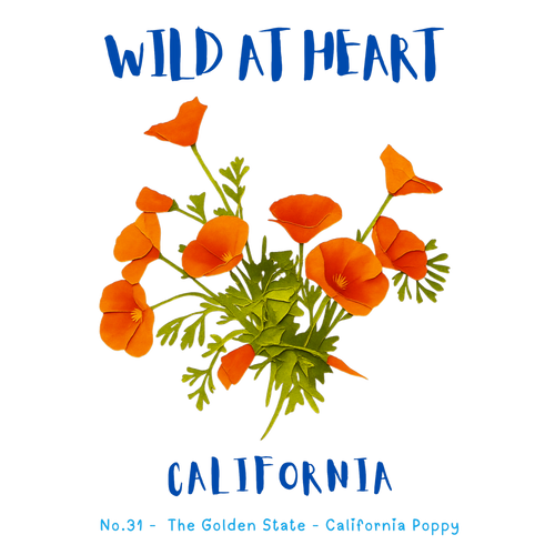 California Nature Explorer Gift Set – Activity Books + Wild at Heart Tote