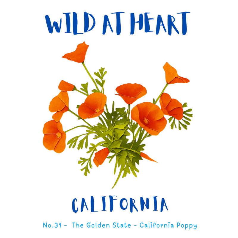 California Nature Explorer Gift Set – Activity Books + Wild at Heart Tote