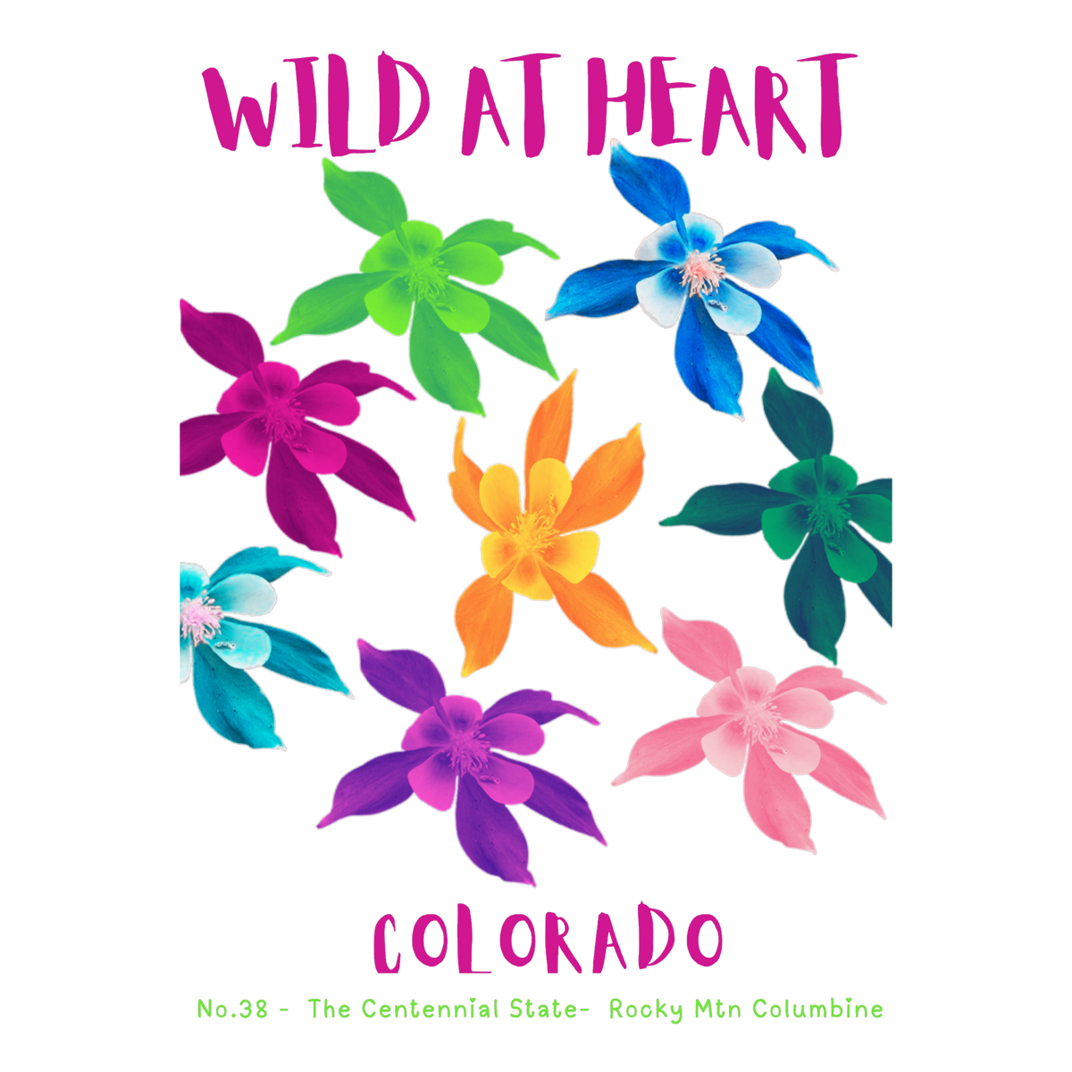 Colorado Nature Explorer Gift Set – Activity Books + Wild at Heart Tote