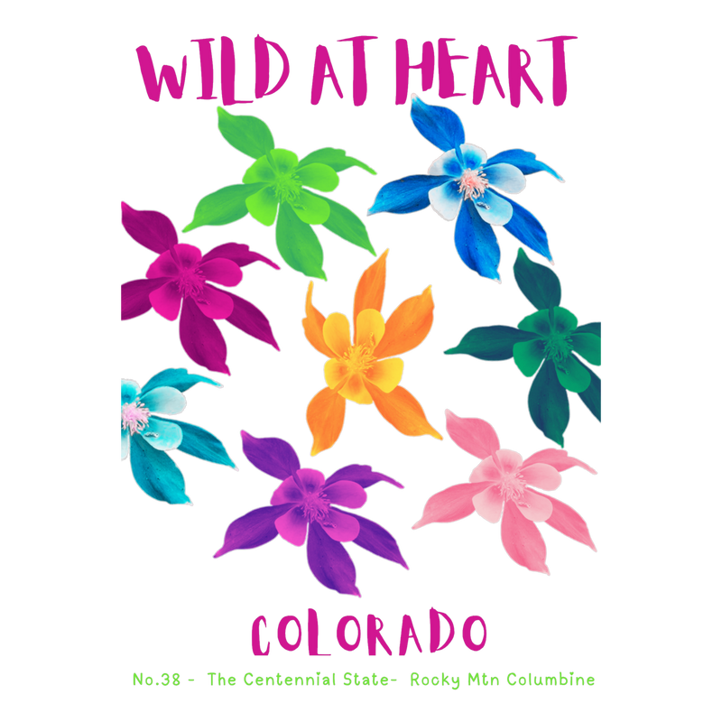 Colorado Nature Explorer Gift Set – Activity Books + Wild at Heart Tote