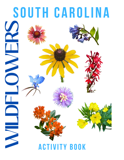 Wildflowers of South Carolina Activity Book for Kids