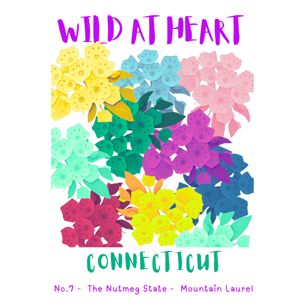 Connecticut Nature Explorer Gift Set – Activity Books + Wild at Heart Tote