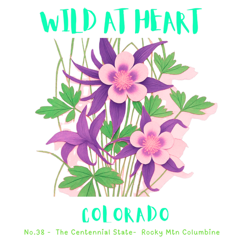 Colorado Nature Explorer Gift Set – Activity Books + Wild at Heart Tote