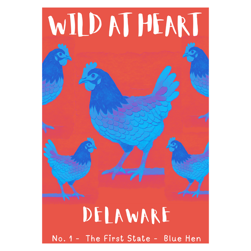 Delaware Nature Explorer Gift Set – Activity Books + Wild at Heart Tote