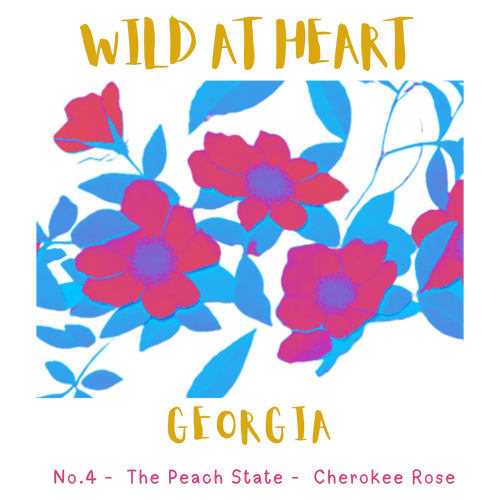 Georgia Nature Explorer Gift Set – Activity Books + Wild at Heart Tote