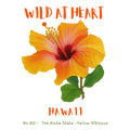 Hawaii Nature Explorer Gift Set – Activity Books + Wild at Heart Tote