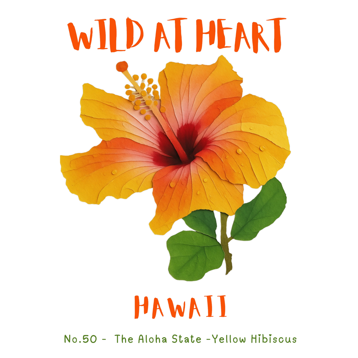 Hawaii Nature Explorer Gift Set – Activity Books + Wild at Heart Tote