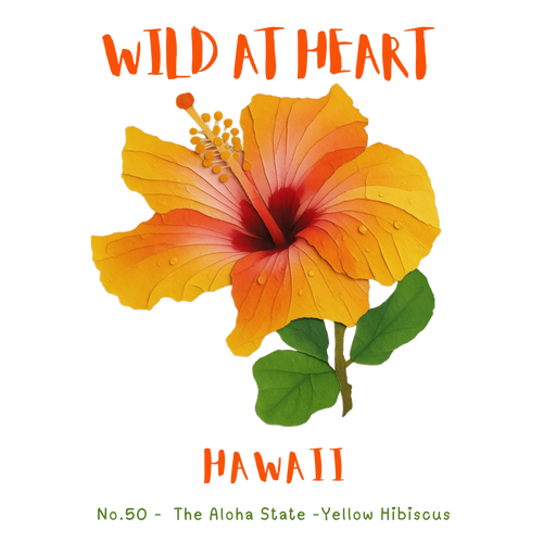 Hawaii Nature Explorer Gift Set – Activity Books + Wild at Heart Tote