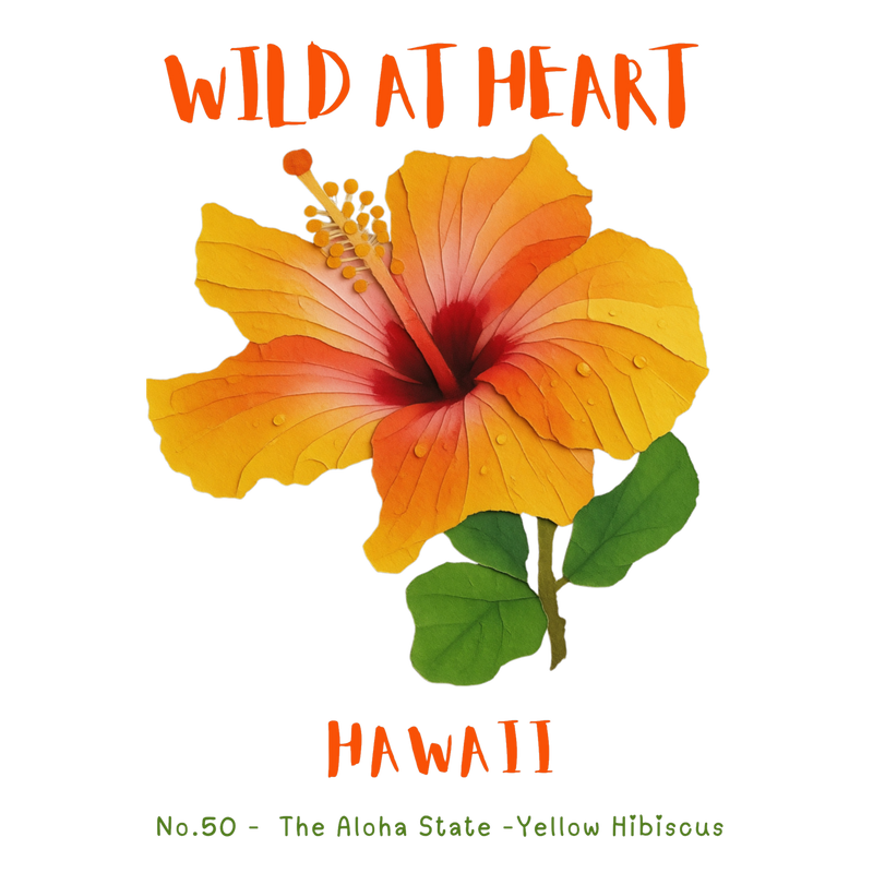 Hawaii Nature Explorer Gift Set – Activity Books + Wild at Heart Tote