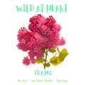 Idaho Nature Explorer Gift Set – Activity Books + Wild at Heart Tote