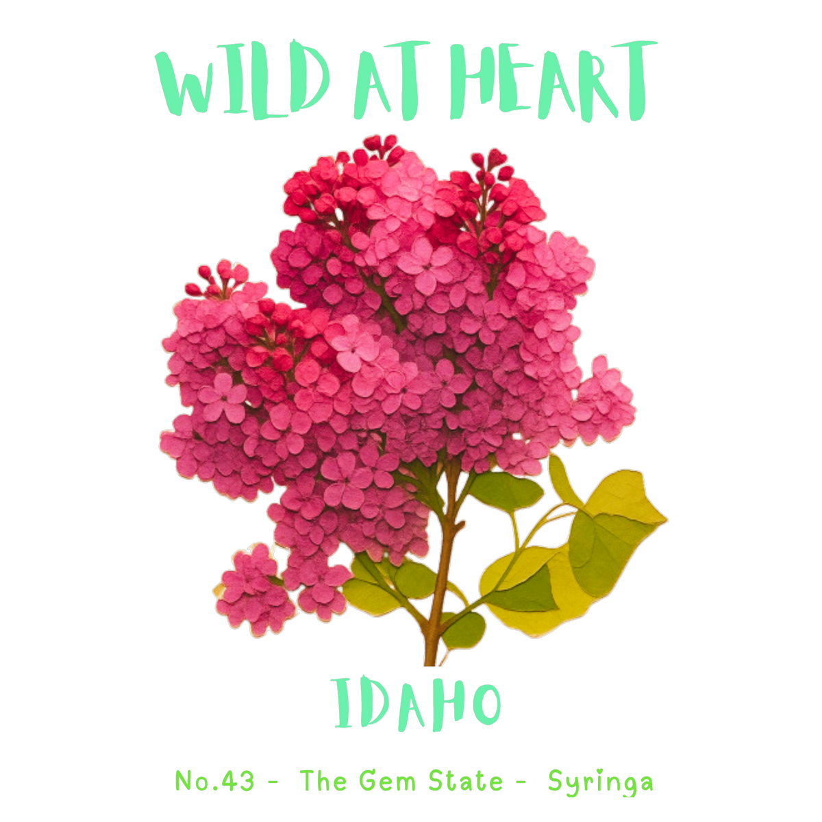 Idaho Nature Explorer Gift Set – Activity Books + Wild at Heart Tote