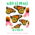 Illinois Nature Explorer Gift Set – Activity Books + Wild at Heart Tote