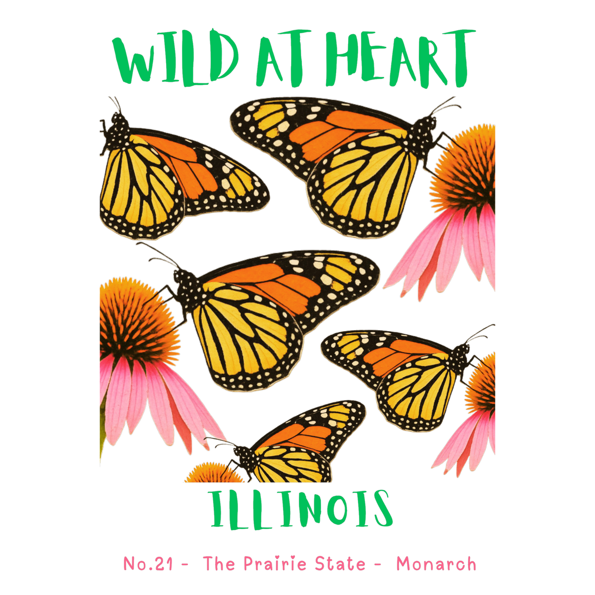 Illinois Nature Explorer Gift Set – Activity Books + Wild at Heart Tote